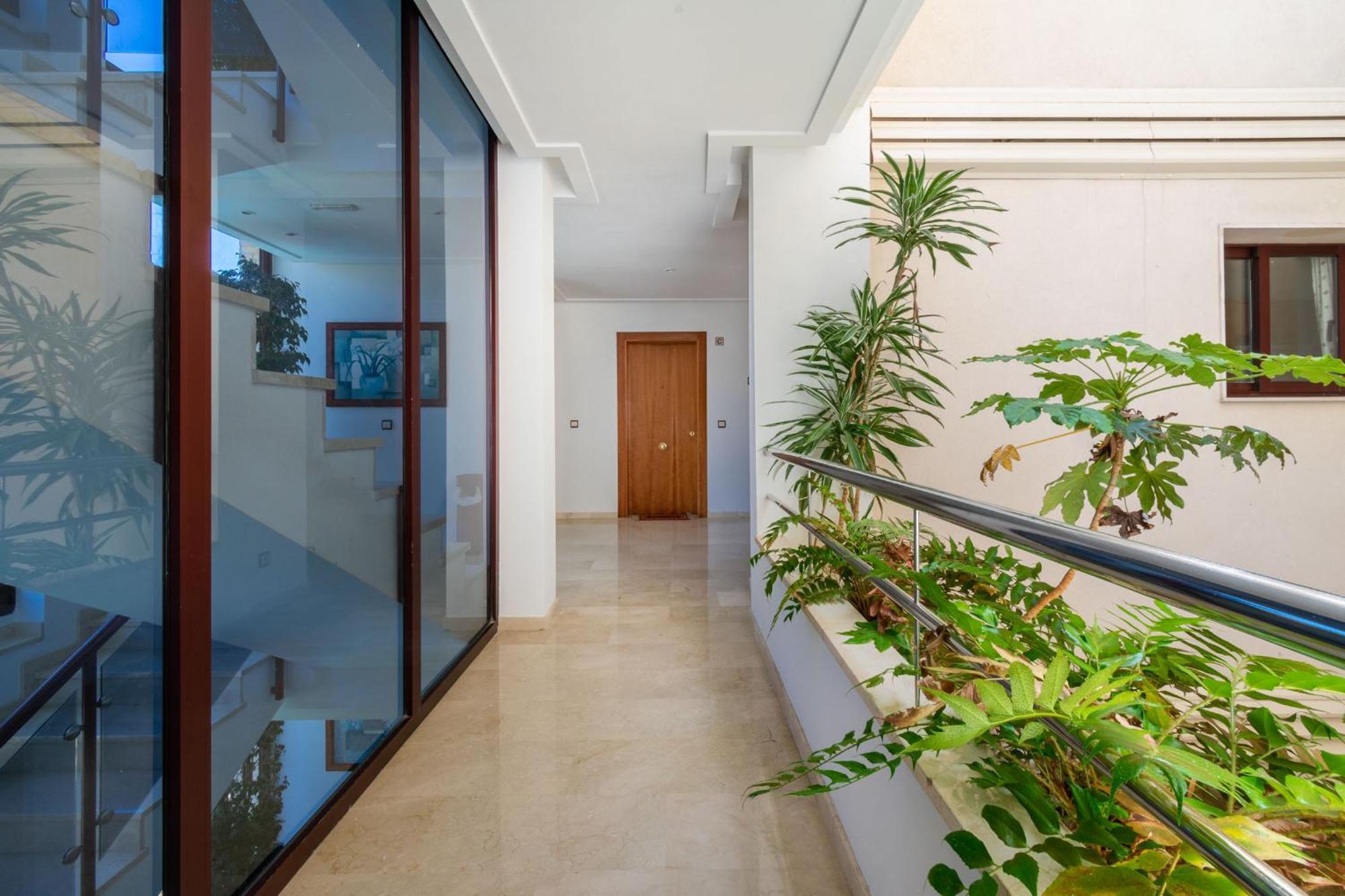 Apartamentos Albir Confort - Avenida 1 Dorm El Albir Esterno foto